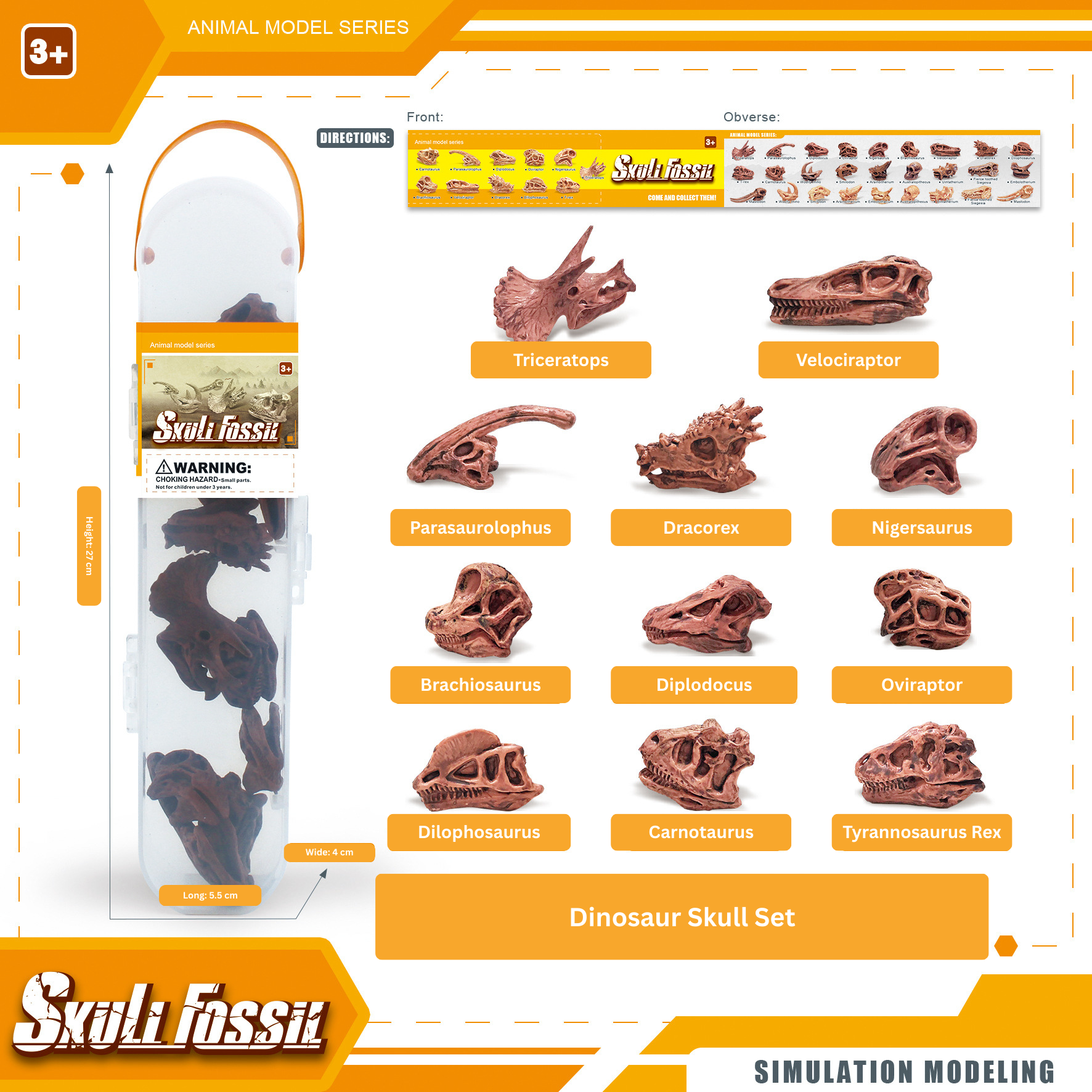 Dinosaur skull model set with packaging and assembly chart on a white background